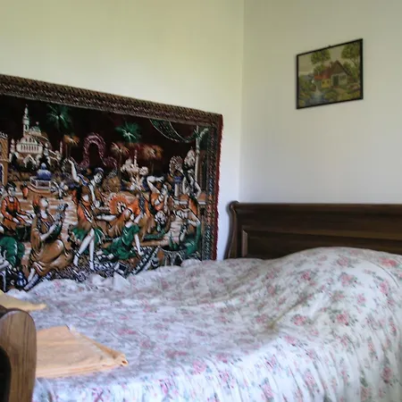 Guest house Faluszeli Vendeghaz - Boncz Porta *